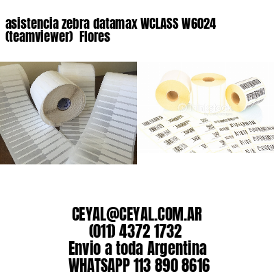 asistencia zebra datamax WCLASS W6024 (teamviewer)  Flores