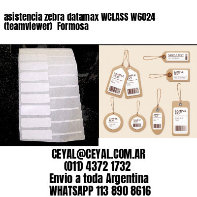 asistencia zebra datamax WCLASS W6024 (teamviewer)  Formosa