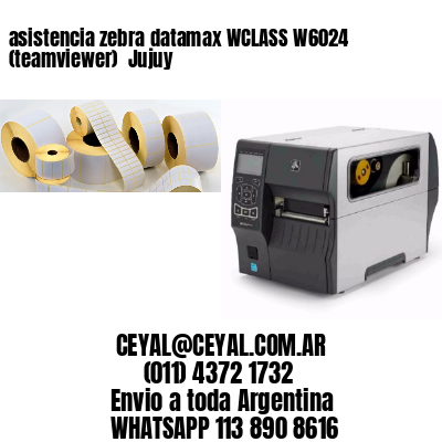 asistencia zebra datamax WCLASS W6024 (teamviewer)  Jujuy