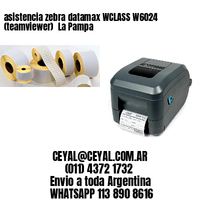 asistencia zebra datamax WCLASS W6024 (teamviewer)  La Pampa