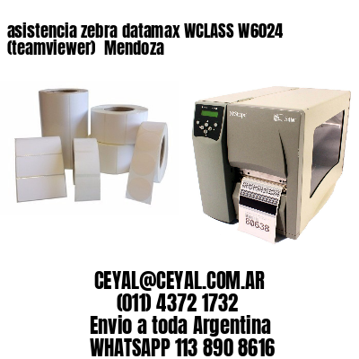 asistencia zebra datamax WCLASS W6024 (teamviewer)  Mendoza