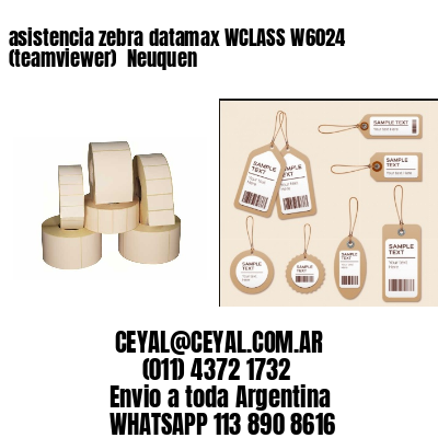 asistencia zebra datamax WCLASS W6024 (teamviewer)  Neuquen