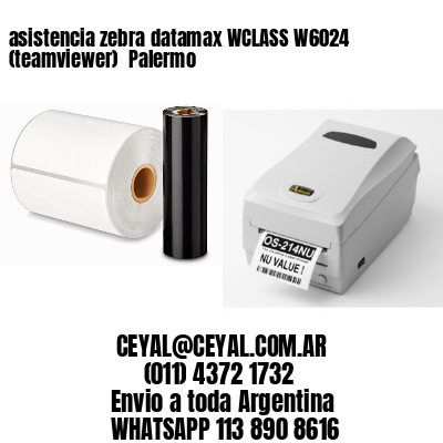 asistencia zebra datamax WCLASS W6024 (teamviewer)  Palermo