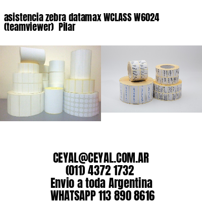 asistencia zebra datamax WCLASS W6024 (teamviewer)  Pilar