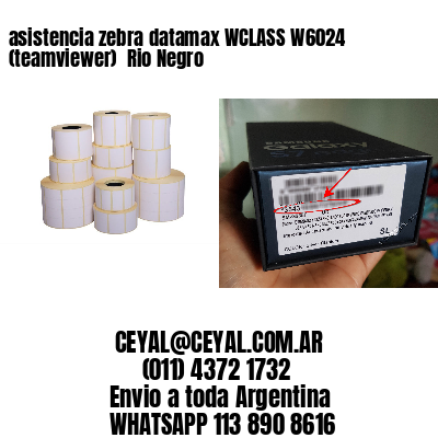 asistencia zebra datamax WCLASS W6024 (teamviewer)  Rio Negro