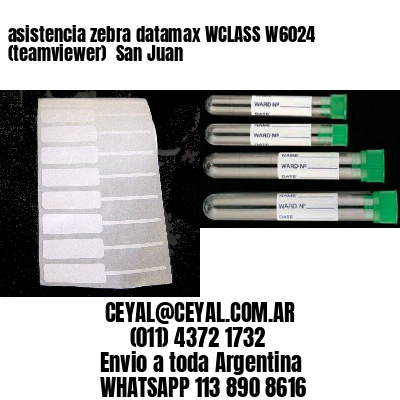 asistencia zebra datamax WCLASS W6024 (teamviewer)  San Juan