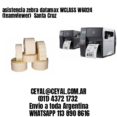asistencia zebra datamax WCLASS W6024 (teamviewer)  Santa Cruz