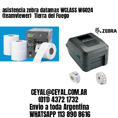 asistencia zebra datamax WCLASS W6024 (teamviewer)  Tierra del Fuego
