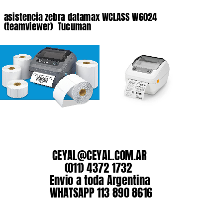 asistencia zebra datamax WCLASS W6024 (teamviewer)  Tucuman