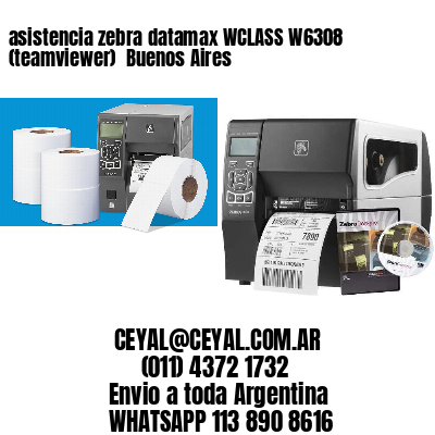 asistencia zebra datamax WCLASS W6308 (teamviewer)  Buenos Aires