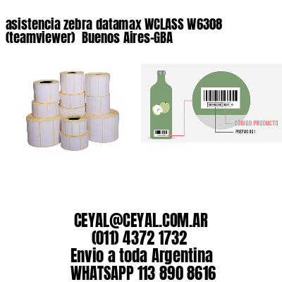 asistencia zebra datamax WCLASS W6308 (teamviewer)  Buenos Aires-GBA