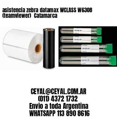 asistencia zebra datamax WCLASS W6308 (teamviewer)  Catamarca