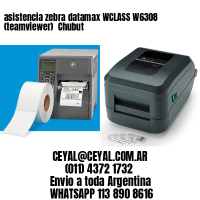 asistencia zebra datamax WCLASS W6308 (teamviewer)  Chubut