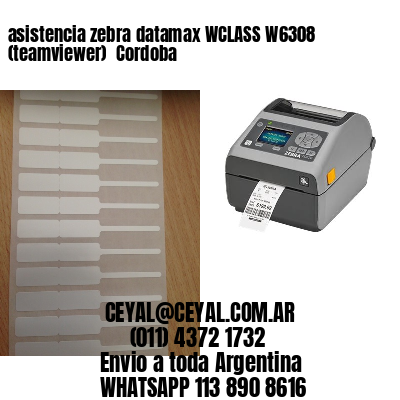 asistencia zebra datamax WCLASS W6308 (teamviewer)  Cordoba