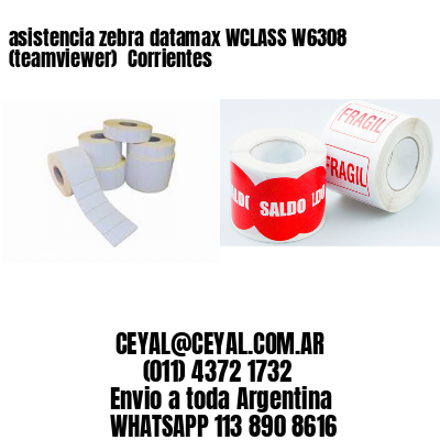 asistencia zebra datamax WCLASS W6308 (teamviewer)  Corrientes