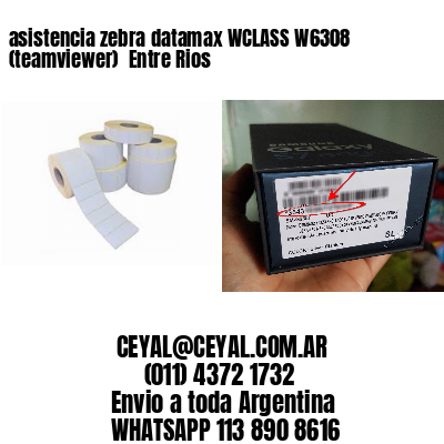 asistencia zebra datamax WCLASS W6308 (teamviewer)  Entre Rios