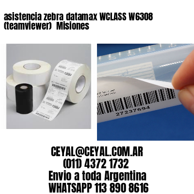 asistencia zebra datamax WCLASS W6308 (teamviewer)  Misiones