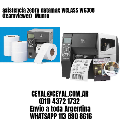 asistencia zebra datamax WCLASS W6308 (teamviewer)  Munro