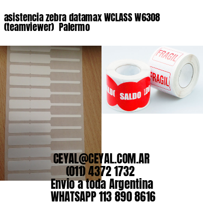 asistencia zebra datamax WCLASS W6308 (teamviewer)  Palermo