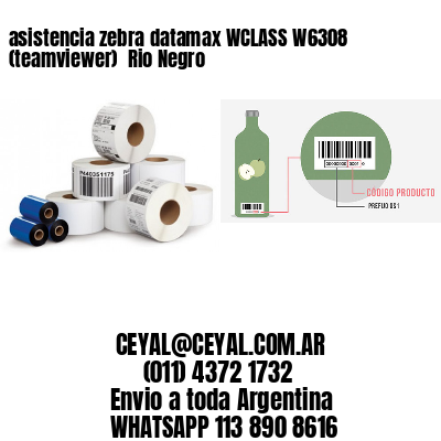 asistencia zebra datamax WCLASS W6308 (teamviewer)  Rio Negro