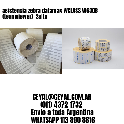 asistencia zebra datamax WCLASS W6308 (teamviewer)  Salta