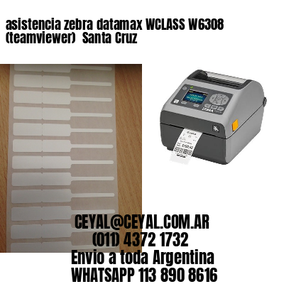 asistencia zebra datamax WCLASS W6308 (teamviewer)  Santa Cruz