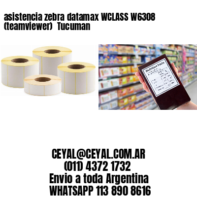 asistencia zebra datamax WCLASS W6308 (teamviewer)  Tucuman