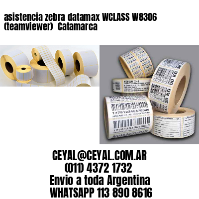 asistencia zebra datamax WCLASS W8306 (teamviewer)  Catamarca