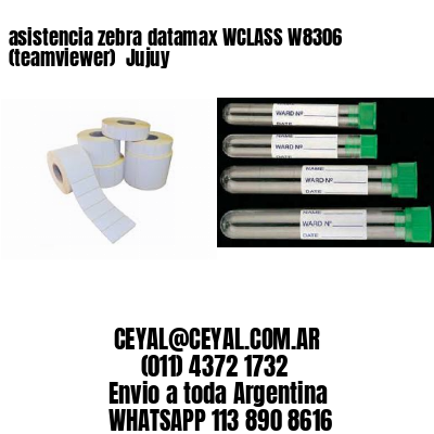 asistencia zebra datamax WCLASS W8306 (teamviewer)  Jujuy