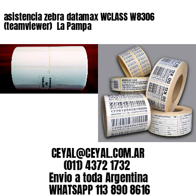 asistencia zebra datamax WCLASS W8306 (teamviewer)  La Pampa