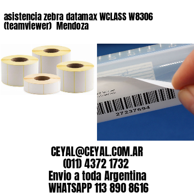 asistencia zebra datamax WCLASS W8306 (teamviewer)  Mendoza