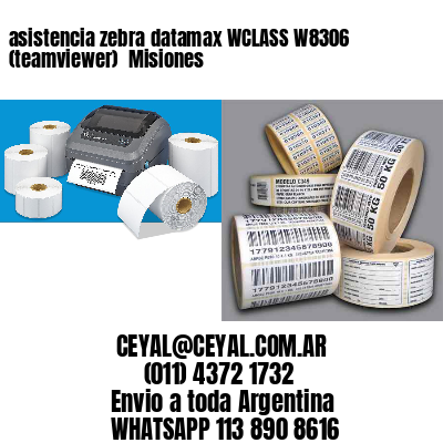 asistencia zebra datamax WCLASS W8306 (teamviewer)  Misiones