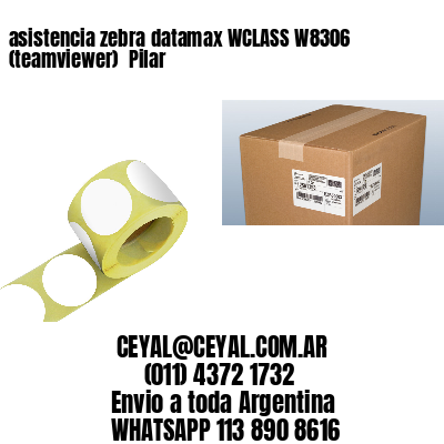 asistencia zebra datamax WCLASS W8306 (teamviewer)  Pilar