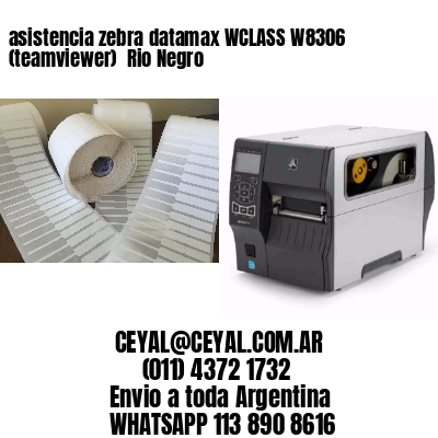 asistencia zebra datamax WCLASS W8306 (teamviewer)  Rio Negro