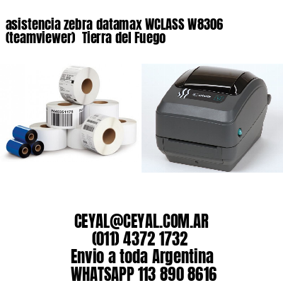 asistencia zebra datamax WCLASS W8306 (teamviewer)  Tierra del Fuego