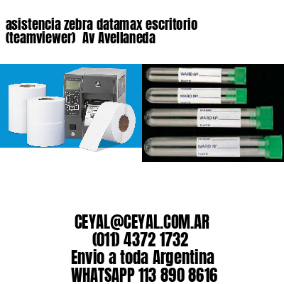 asistencia zebra datamax escritorio (teamviewer)  Av Avellaneda
