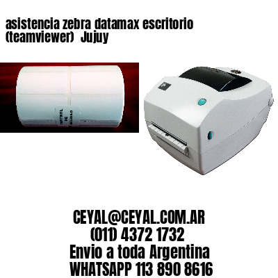 asistencia zebra datamax escritorio (teamviewer)  Jujuy