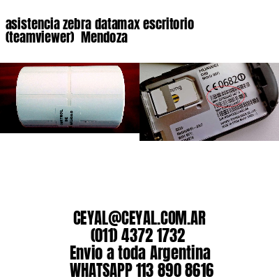 asistencia zebra datamax escritorio (teamviewer)  Mendoza