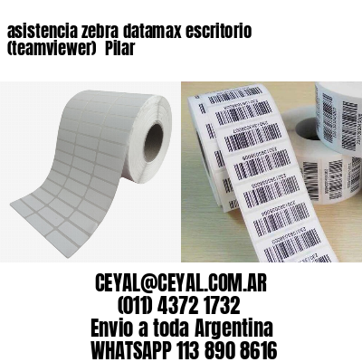 asistencia zebra datamax escritorio (teamviewer)  Pilar