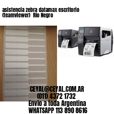 asistencia zebra datamax escritorio (teamviewer)  Rio Negro