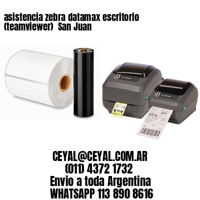 asistencia zebra datamax escritorio (teamviewer)  San Juan