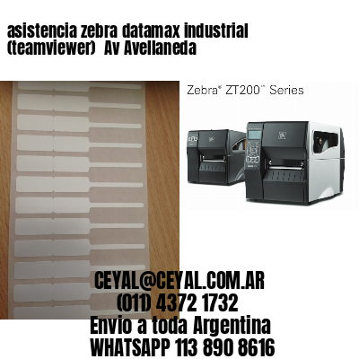 asistencia zebra datamax industrial (teamviewer)  Av Avellaneda