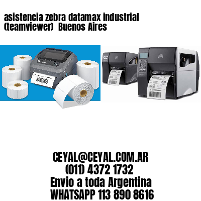 asistencia zebra datamax industrial (teamviewer)  Buenos Aires