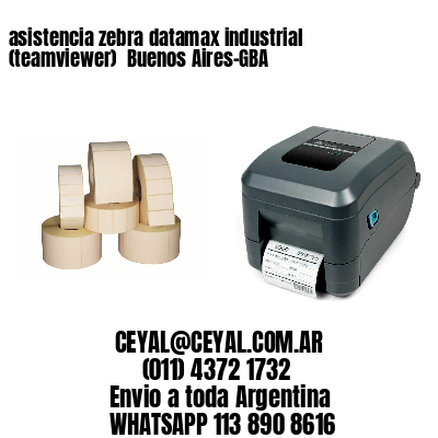 asistencia zebra datamax industrial (teamviewer)  Buenos Aires-GBA