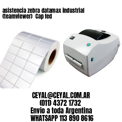 asistencia zebra datamax industrial (teamviewer)  Cap fed