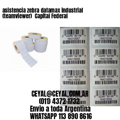asistencia zebra datamax industrial (teamviewer)  Capital Federal