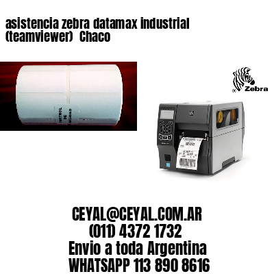 asistencia zebra datamax industrial (teamviewer)  Chaco