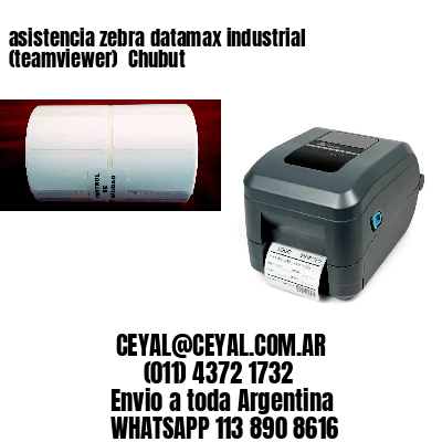 asistencia zebra datamax industrial (teamviewer)  Chubut