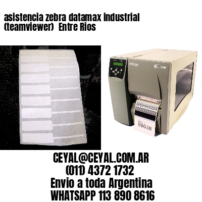 asistencia zebra datamax industrial (teamviewer)  Entre Rios