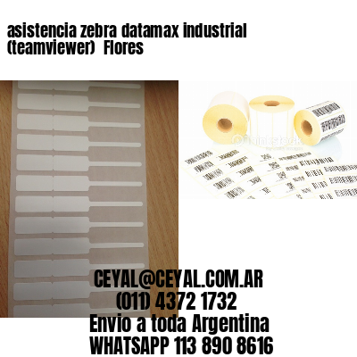 asistencia zebra datamax industrial (teamviewer)  Flores